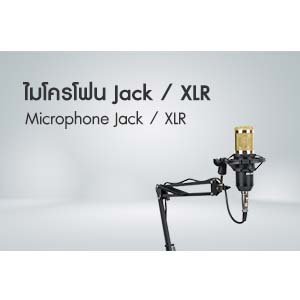 Jack / XLR