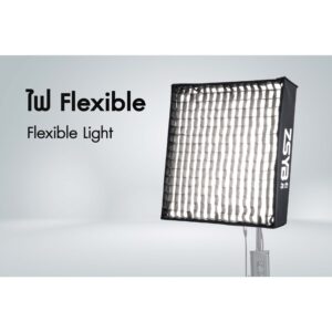 Flexible light