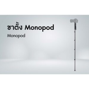 ขาตั้ง Monopod
